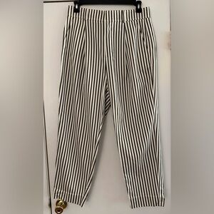 Everlane Women’s Black, Gray and White Striped Dress Pants